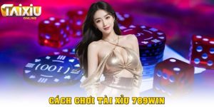 Cách chơi tài xỉu 789win - Hướng dẫn chi tiết cho người mới