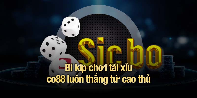 Bí kíp chơi tài xỉu co88 luôn thắng từ cao thủ
