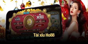 Tài Xỉu Ho88
