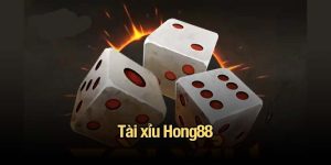 tài xỉu Hong88