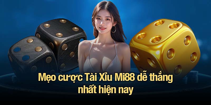 Tài xỉu Mi88 - Phân tích xác suất và mẹo cược đỉnh cao Mẹo cược Tài Xỉu Mi88 dễ thắng nhất hiện nay