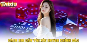 Cách soi cầu tài xỉu Sky88 chính xác, hiệu quả nhất
