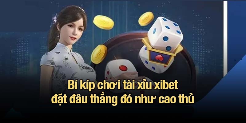 Bí kíp chơi tài xỉu xibet đặt đâu thắng đó như cao thủ