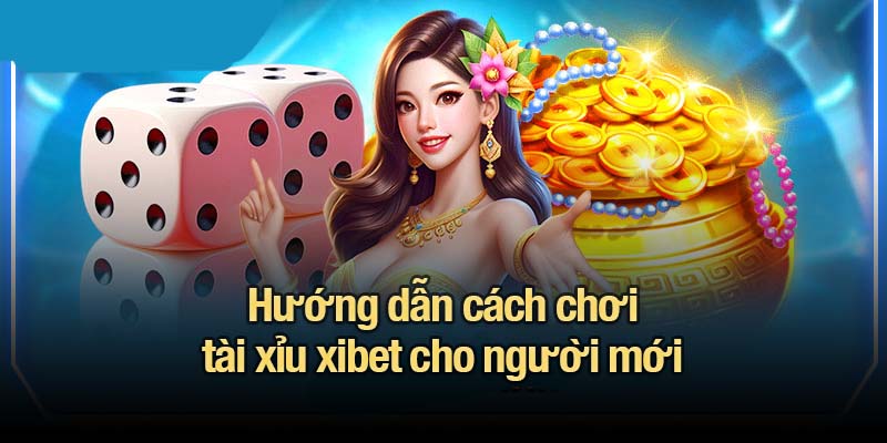 Hướng dẫn cách chơi tài xỉu xibet cho người mới