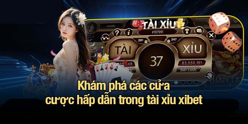 Khám phá các cửa cược hấp dẫn trong tài xỉu xibet